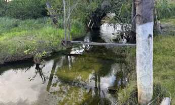 Imagem: Chácara com banho, sem benfeitorias, a