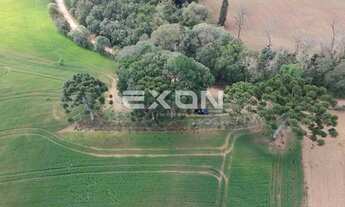 Imagem 5: Terreno à venda 48.513 m2 Colônia Figueiredo Campo Largo