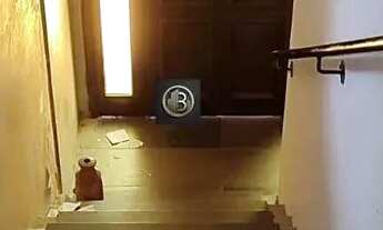 Imagem 6: Casa Sobrado para alugar em Porto Alegre, Jardim Itu Sabará, com 3 quartos, 240m²