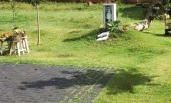 Imagem 4: Alugo Chácara em Londrina para festas e eventos