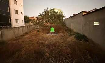 Imagem 2: Lote em Vila Pinto Coelho