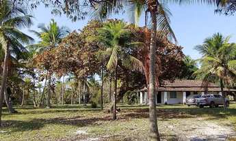 Imagem 3: Conde, bahia, litoral norte 190 tarefas 2000 coqueiros