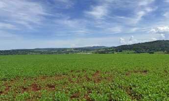 Imagem 3: Fazenda a venda - Nazário - GO