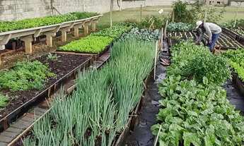 Imagem 6: Lindo Terreno Condomínio Quinta do Engenho