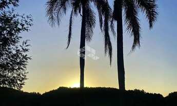 Imagem 6: Área de terra com 2.500m2 no Santo Ventoso