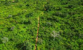 Imagem 4: Sítio 200 x 960 na BR 174 KM 80 160.000,00