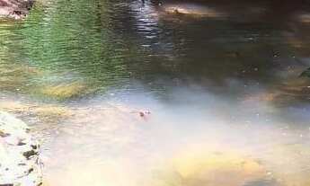 Imagem 3: Vendo gleba 2hectares região da comunidade Palmeira com córrego e terra de cultura