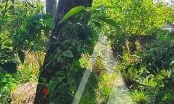 Imagem 7: Casa com 3 dormitórios à venda, 160 m² por R$ 995.000,00 - Ibiraquera - Imbituba/SC