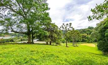 Imagem: Chácara no Cercadinho Campo Largo 11.216m²