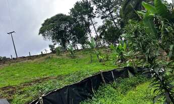 Imagem 2: Vende se chácara