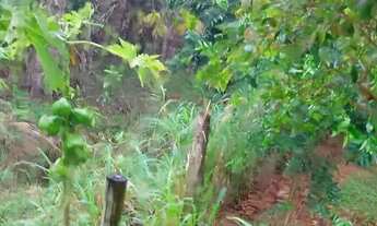 Imagem 5: Chácara para venda na região serrana de Serra da Cruz em Macaé/RJ, Casa 2 quartos e quinta