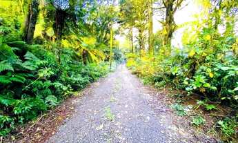 Imagem 2: A venda terreno de 7.620m², localizado em Canela