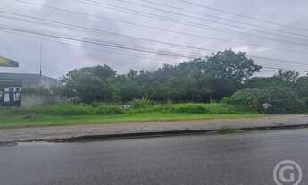 Imagem: Terreno amplo em localização estratégica