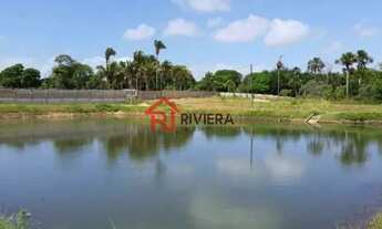 Imagem 4: TERRENO COMERCIAL em SÃO LUÍS - MA, ESTIVA