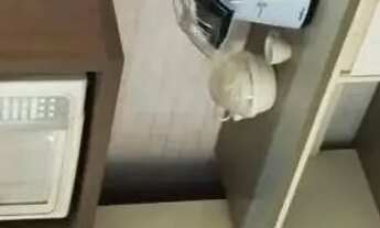 Imagem 6: PRÉDIO - VILA MARIANA - SP