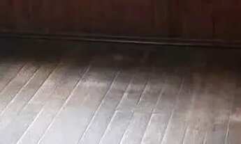 Imagem 6: Casa com 3 Quarto(s) e 1 banheiro(s) para Alugar, 80 m² por R$ 1200 / Mês