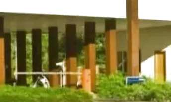 Imagem 3: Excelente Duplex no Condomínio Alphaville 1. 495m2, 4 Suítes, Piscina, 100% Mobiliada