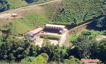 Imagem 2: Sítio/Haras em Lumiar