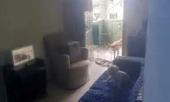 Imagem 4: Casa em castelo branco