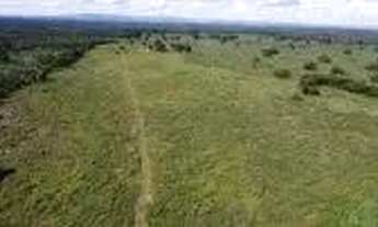 Imagem 3: Fazenda c/ 1.226he c/ 920he abertos/juquirado, dupla aptidão, Jangada-MT