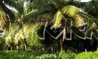 Imagem 4: Terreno 40.000m² Barra dos Coqueiros - SE