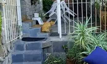 Imagem 4: Casa em Rua Henrique Fleiuss - Tijuca - Rio de Janeiro/RJ