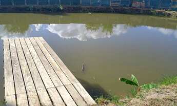 Imagem 5: Vendo chácara Chácara com venda por R$550