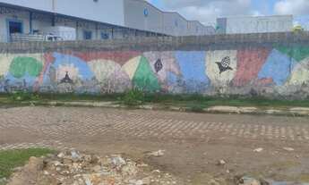 Imagem 3: Terreno plano e cercado