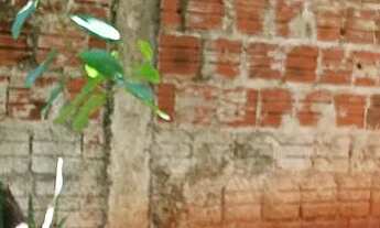 Imagem 3: Vende-Se Casa Casa com 2 dormitórios