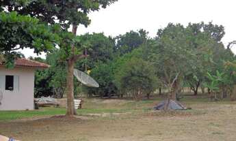 Imagem 6: Chácara de 3,5 Alqueires em Guapirama PR