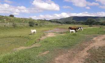Imagem: Vendo Fazenda Com 60 Tarefa em Crato