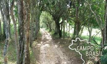 Imagem 7: Linda Fazenda de fácil acesso e próxima da cidade!!! Aceita proposta!