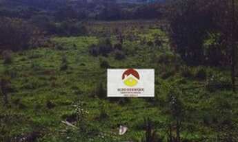 Imagem 7: Sítio à venda, 28300 m² por R$ 420.000,00 - Alterosa - Alterosa/MG