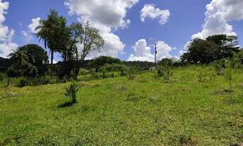 Imagem 14: Fazenda Fazendinha 19 Hectares, 16 Hectares. FLORESTA MG