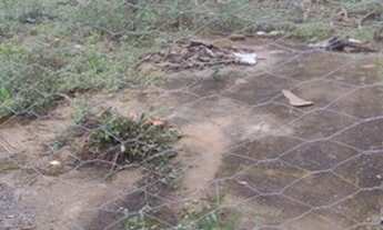 Imagem 2: Excelente Lote com 398 m², no Centro de Pedralva/MG