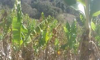 Imagem 4: Linda área para venda com 48.400 m² no Bairro Lambari - Gonçalves - MG