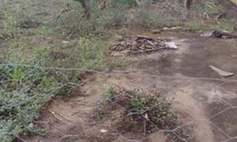 Imagem 1: Excelente Lote com 398 m², no Centro de Pedralva/MG