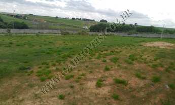 Imagem 7: OPORTUNIDADE - Terreno Industrial 1000m² - Cintec - SBO - TE509