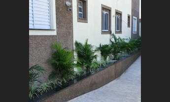 Imagem 3: Apartamento pronto para morar 40 m² com 2 quartos em Vila Nhocune - São Paulo - SP