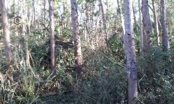 Imagem 7: Fazenda à venda, 1100000 m² por R$ 2.500.000,00 - Centro - Argirita/MG