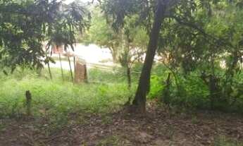 Imagem 3: Sítio para Venda em Santa Luzia, BONANZA, 2 dormitórios, 1 banheiro