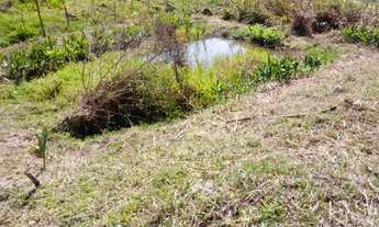 Imagem 4: Fazenda/Sítio/Chácara para venda tem 1800 metros quadrados com 2 quartos