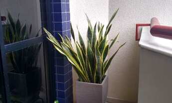 Imagem 5: Condomínio Príncipe de Gales - Adrianópolis, próx ao DB da Paraíba