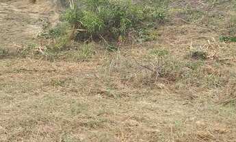 Imagem 6: Lotes licenciado 35mil interlagos e morro lagoa entre natureza mar 257m2 negocio vários