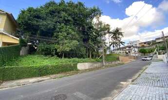 Imagem 2: TERRENO no ANITA GARIBALDI com 0 quartos para VENDA, 2978 m²