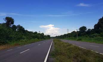 Imagem 4: Rodovia Am 070 - Manoel Urbano