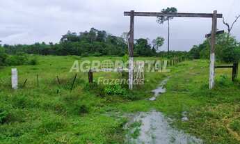 Imagem 7: Fazenda no Pará - Acará - 78 ha (16 alq