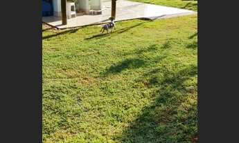 Imagem 7: Vende-se chácara com acesso ao Rio