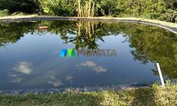 Imagem 3: CAETANóPOLIS - Fazenda - Zona Rural