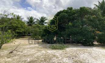 Imagem 6: Casa na Barra Nova, 3 suítes + closet, escritório, adega, DCE completo, piscina, churrasqu